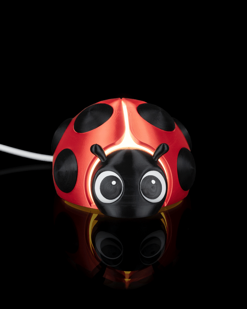 coccinelle lumineuse